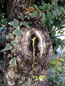 our mother in spring