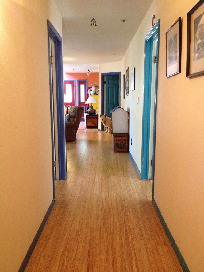 all three rooms and Lily Bear too