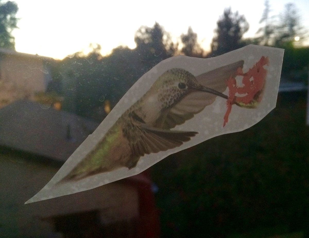 hummingbird sticker